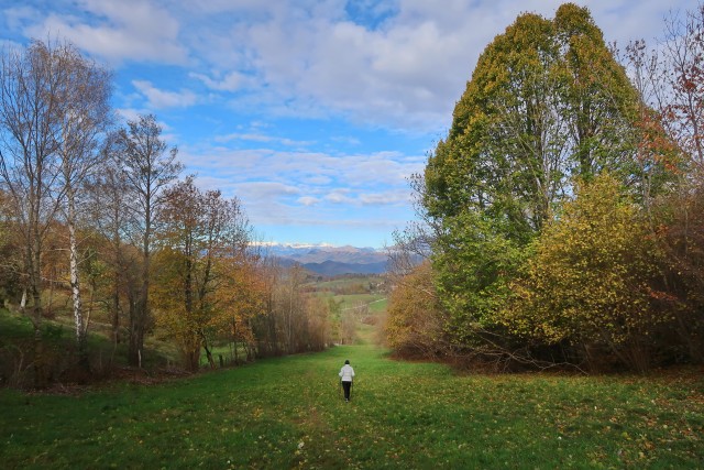 Zgorelc 1 - foto