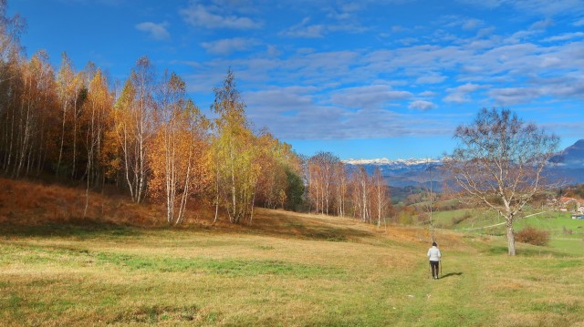 Zgorelc 1 - foto