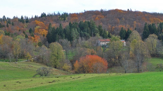 Zgorelc 1 - foto