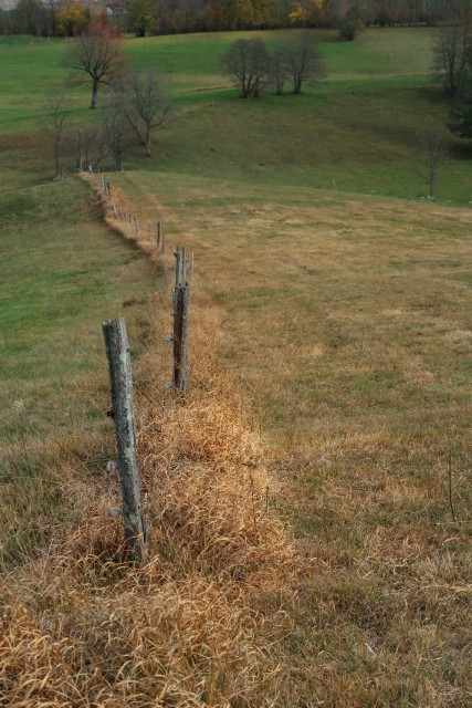 Zgorelc 1 - foto