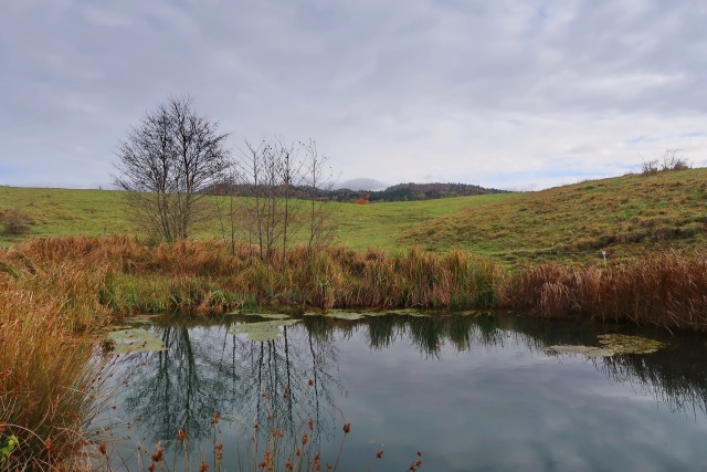 Zgorelc 1 - foto