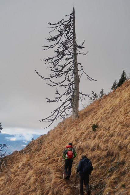 2.1.2023 Begunjščica - foto