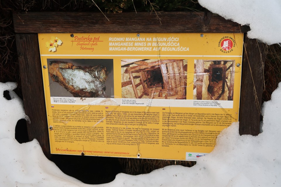 2.1.2023 Begunjščica - foto povečava