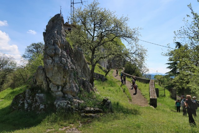 Volnik - foto