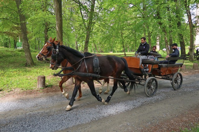 Pomurje - foto