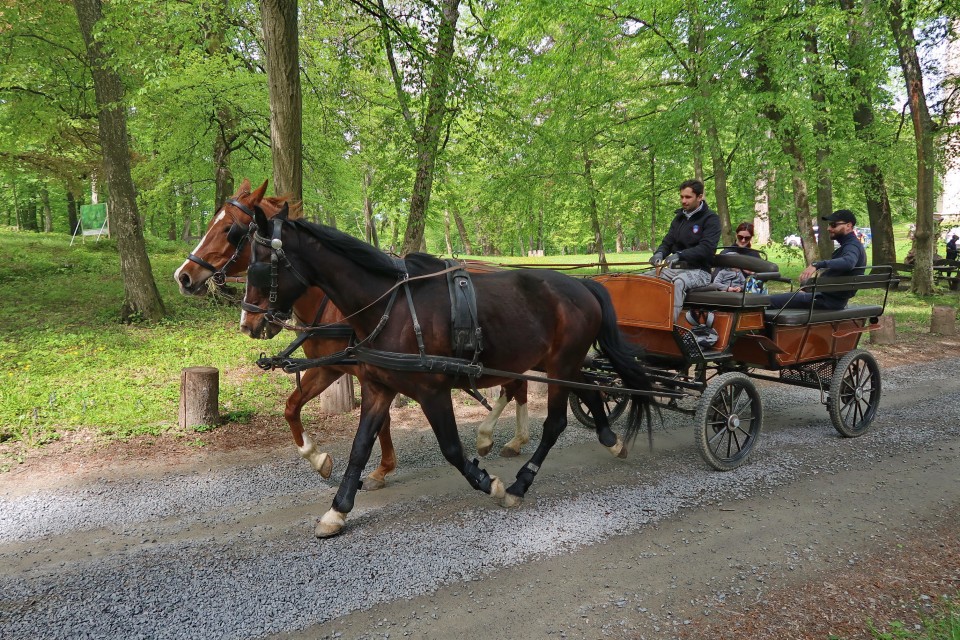 Pomurje - foto povečava