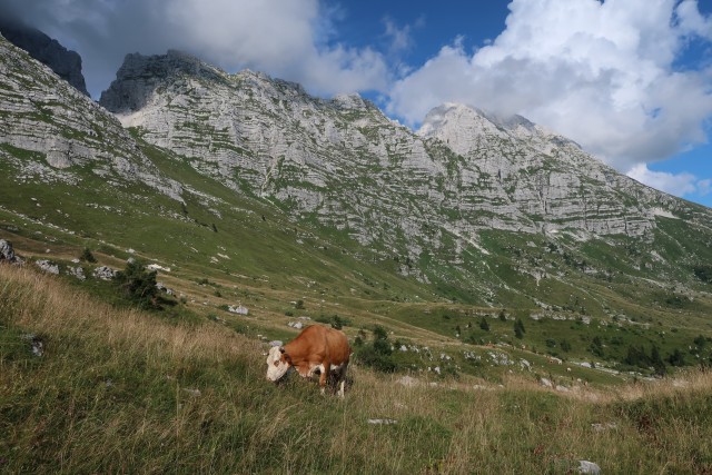 Pecol  Špik hude police  - foto