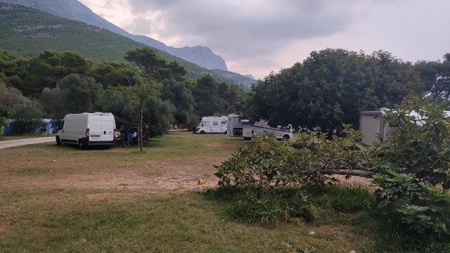 Kamp Dole