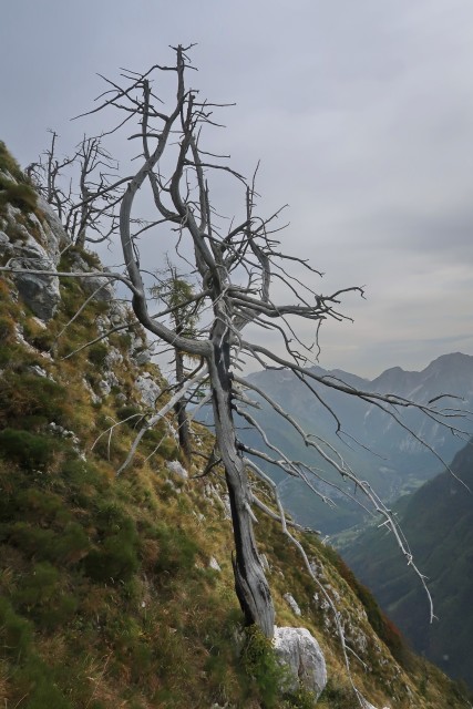 Gore nad Trento - foto