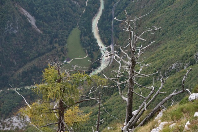 Gore nad Trento - foto