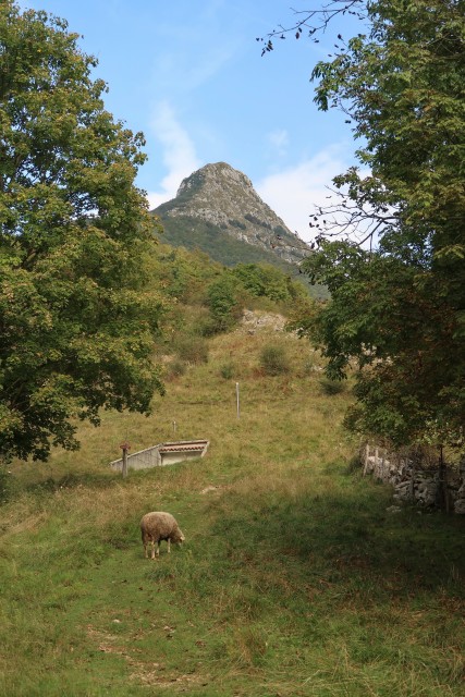 Gore nad Trento - foto