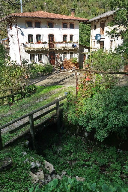 Mišček