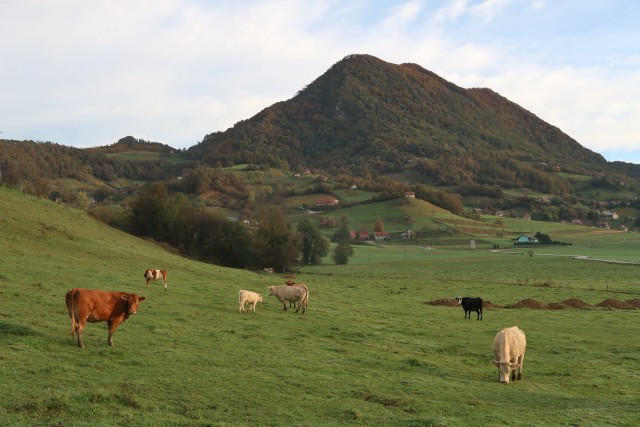 Donačka gora