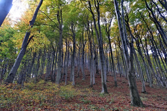 Kozjansko oktober 2023 - foto