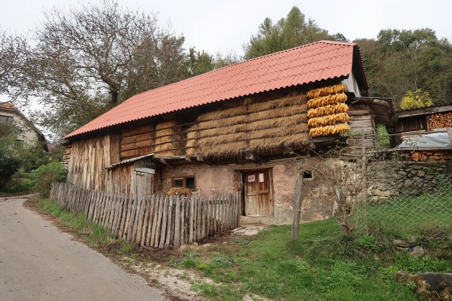Kozjansko oktober 2023 - foto
