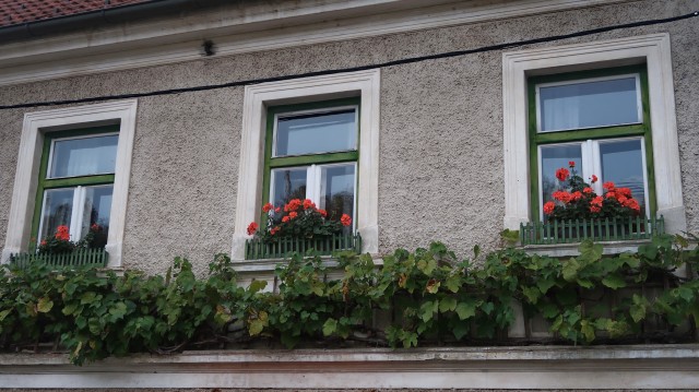 Kozjansko oktober 2023 - foto