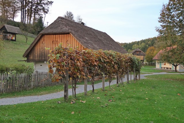 Kozjansko oktober 2023 - foto