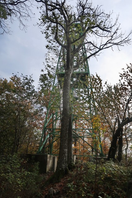 Kozjansko oktober 2023 - foto