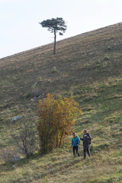 Sv, Katarina, Ovčjak, Golek 18.11.2023 - foto