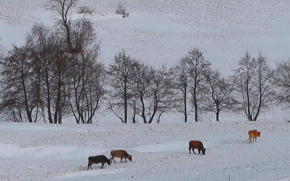 Kalanova pot 3.12.2023 - foto povečava