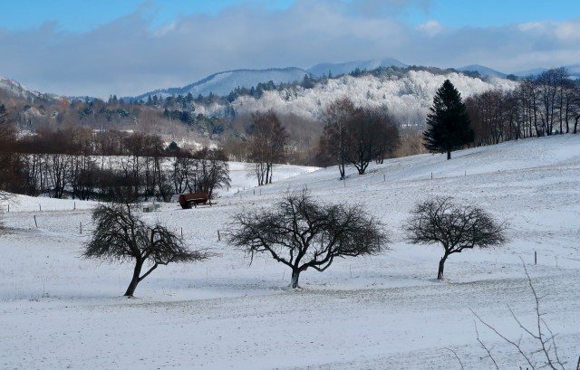 Kalanova pot 3.12.2023 - foto