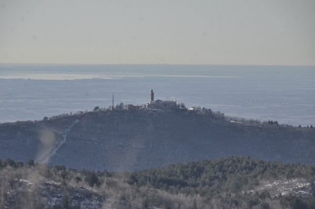 Zgorelc 20.1.2024 - foto