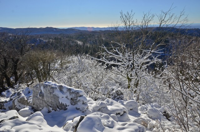 Zgorelc 20.1.2024 - foto