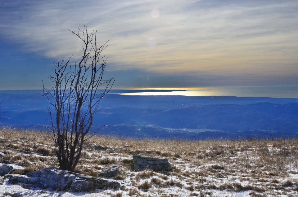 Kucelj 20.1.2024 - foto povečava
