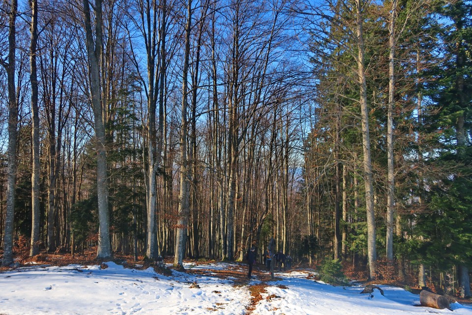 Sv Peter nad Dvorom 27.1.2024 - foto povečava