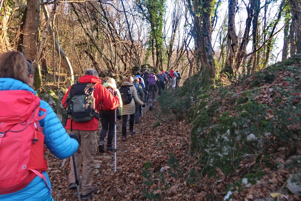 čičer 4.2.2024 - foto povečava