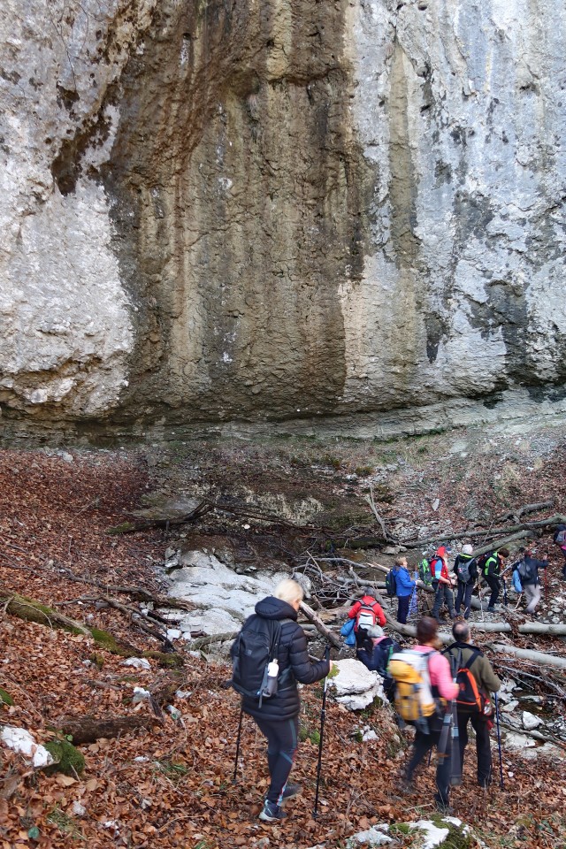 čičer 4.2.2024 - foto povečava