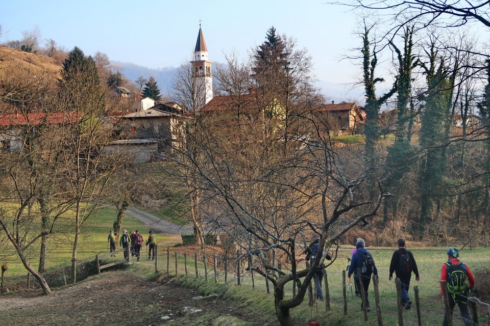 čičer 4.2.2024 - foto povečava
