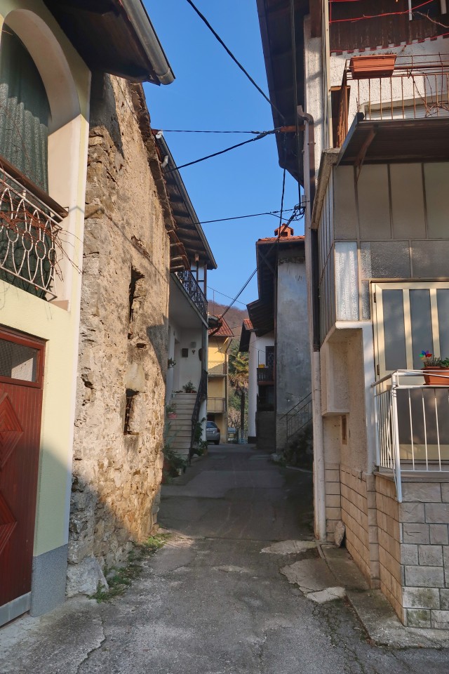 čičer 4.2.2024 - foto povečava