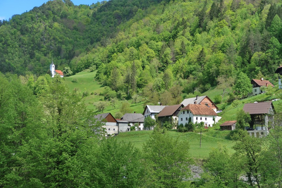 Divje babe, Kojca - foto povečava