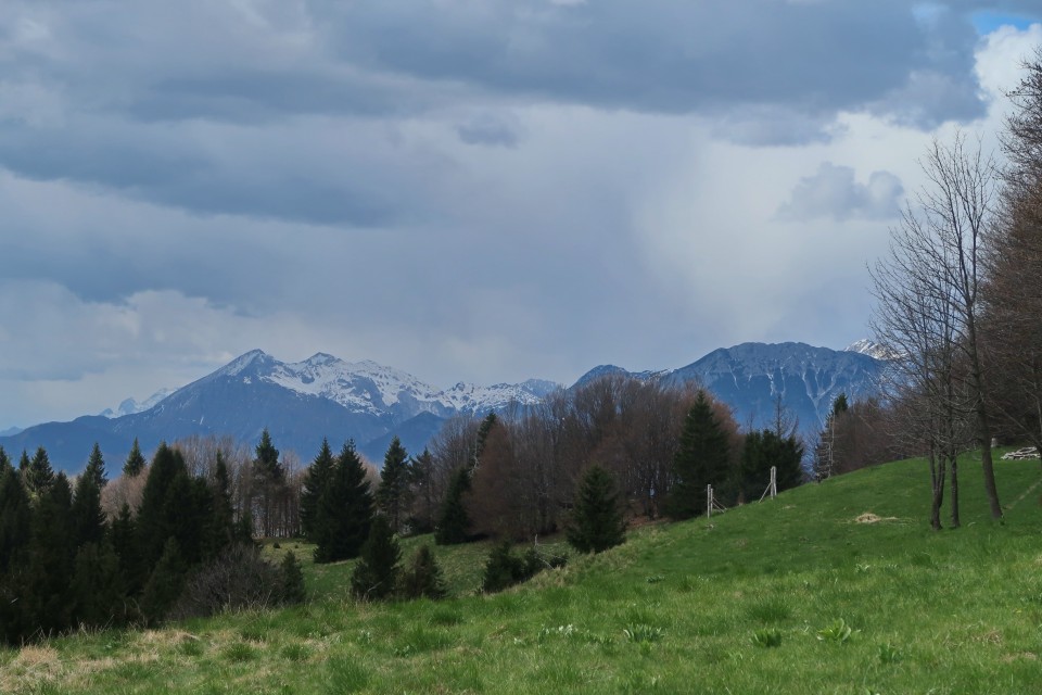 Divje babe, Kojca - foto povečava