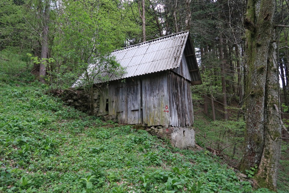 Divje babe, Kojca - foto povečava