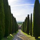 Od Toscane do Calabrije maj 24