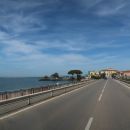 Ortobello