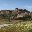 Gerace