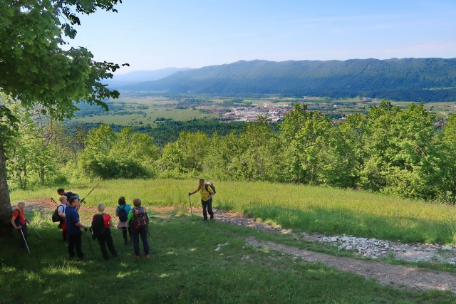 Sv. Ana nad Ribnico - foto