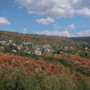 Mondendri