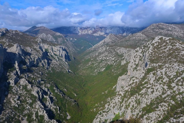V. paklenica