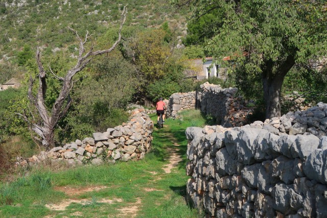 Starigrad Paklenica 24.10.24 - foto
