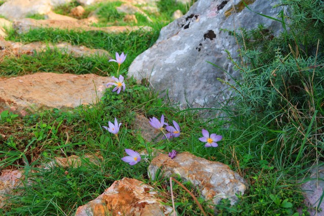 Starigrad Paklenica 24.10.24 - foto