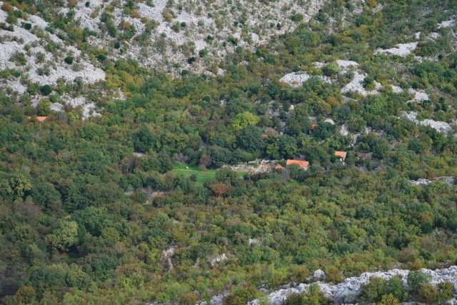 Tomiči