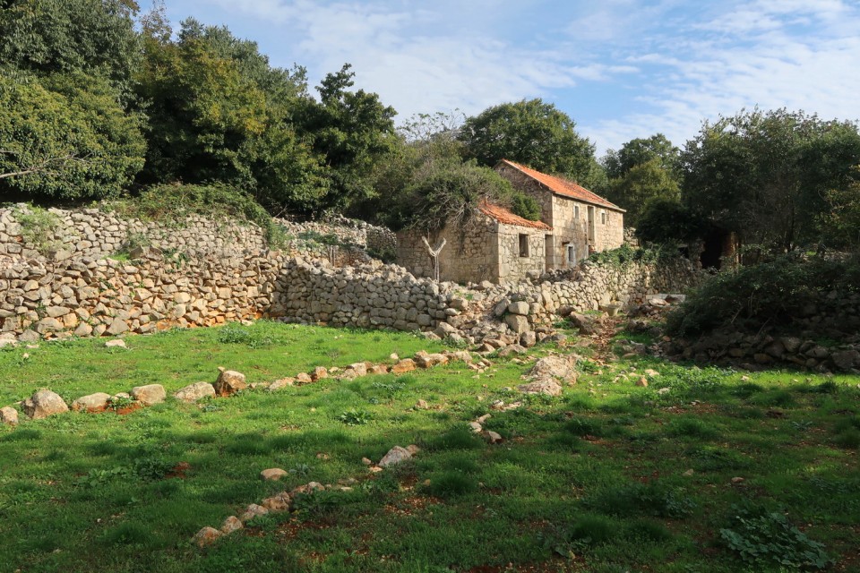 tomiči