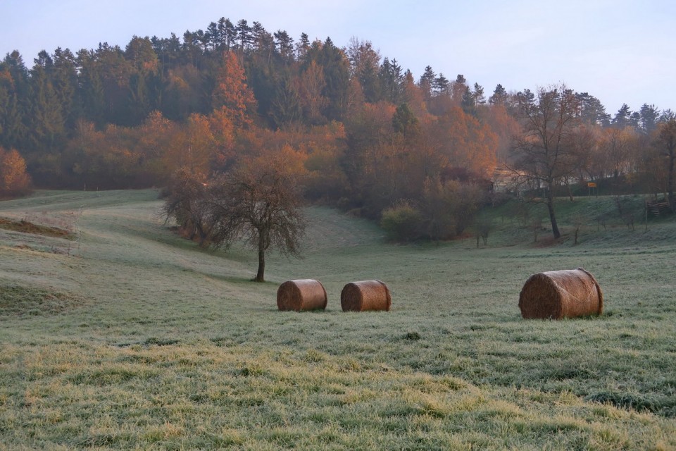 Slovenska Jakobova pot odsek Studeno Podraga - foto povečava