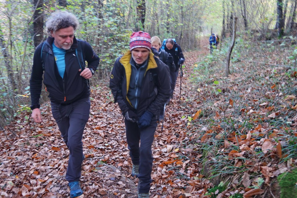 Slovenska Jakobova pot odsek Studeno Podraga - foto povečava