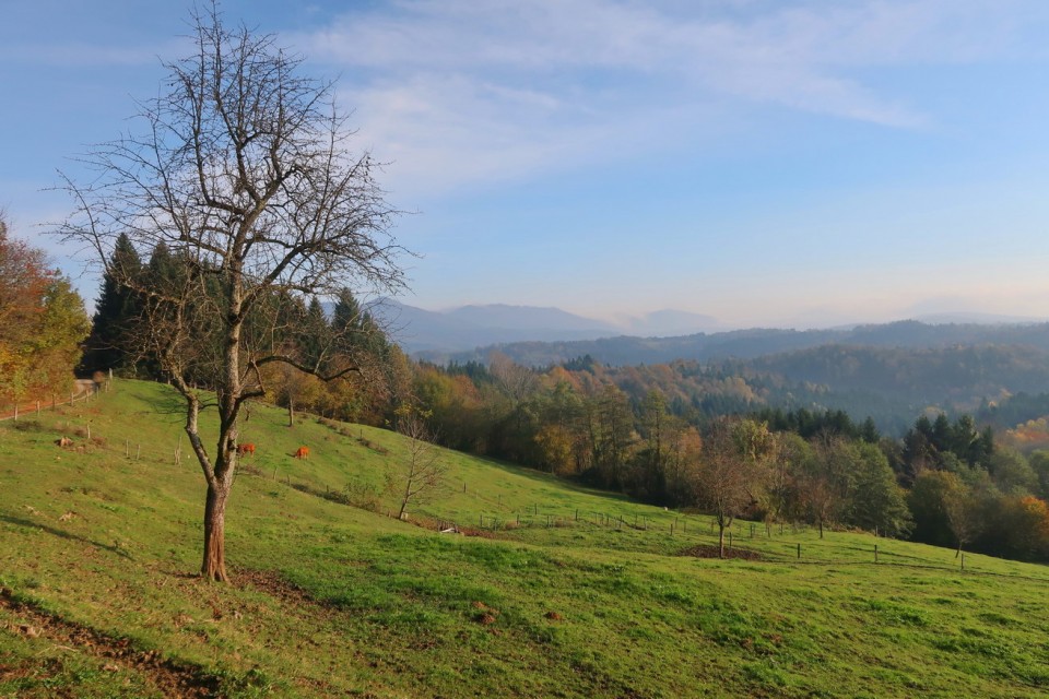 Slovenska Jakobova pot odsek Studeno Podraga - foto povečava