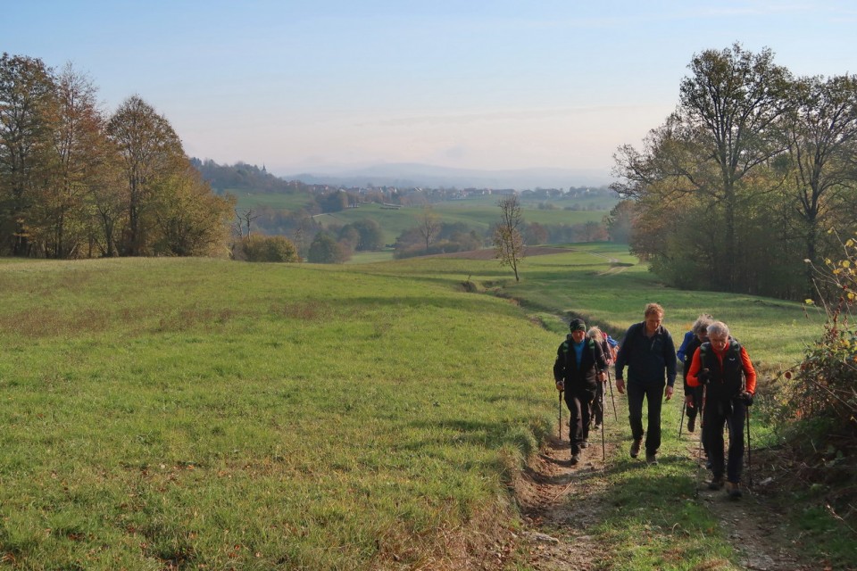 Slovenska Jakobova pot odsek Studeno Podraga - foto povečava